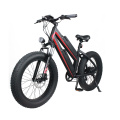 color customized ebike 11.6Ah dual lithium battery aluminum alloy frame fat bike